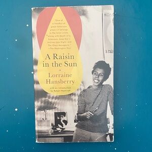 A Raisin in the Sun Book